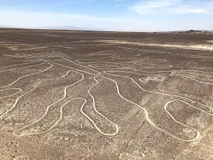 Pale lines winding across the flat desert plain at Nazca, seen from a low rise